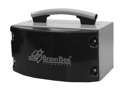 brain-bee