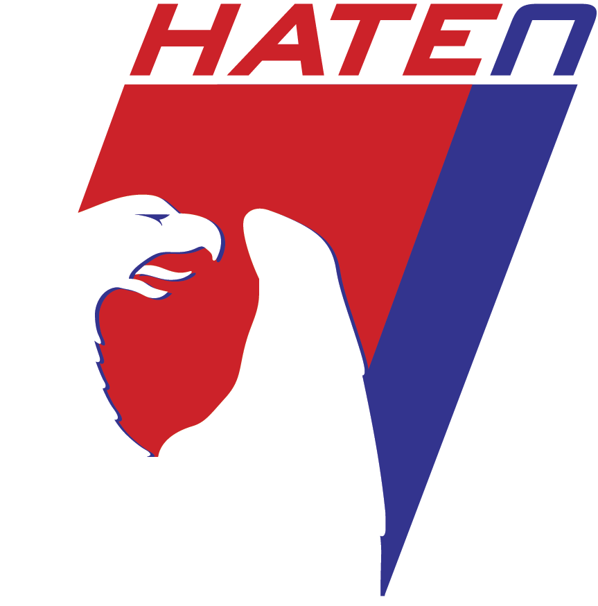 Natep logo